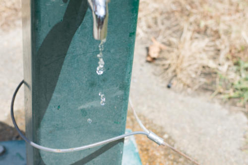 Lindsay-168.jpgwebsite