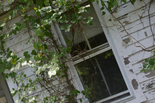 Lindsay-8.jpgwebsite